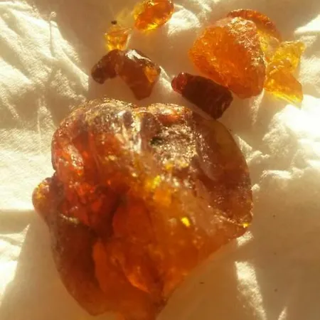 Haus Sommerwind Juliusruh