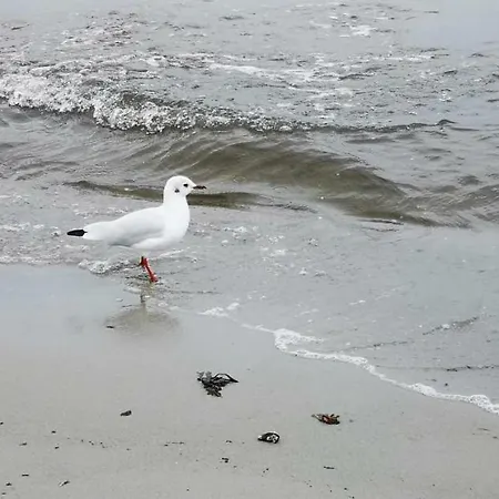 Haus Sommerwind Dom wakacyjny Juliusruh