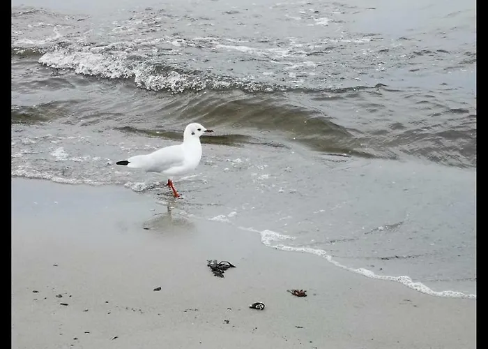 Haus Sommerwind Feriehus Juliusruh
